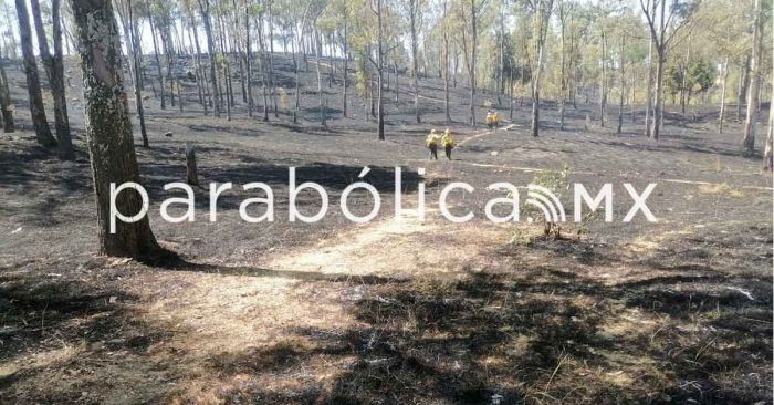 Sofocan autoridades de San Pedro Cholula más de 20 incendios en el Cerro Zapotecas