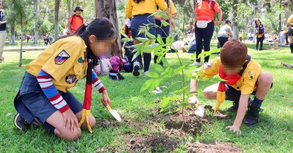 Se suma DIF Estatal a jornada de reforestaci&oacute;n en Los Fuertes