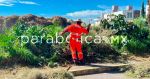 Realiza Limpia municipal chapeo y barrido en colonia Santa Margarita