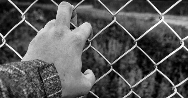 Exhorta Senado al INM garantizar condiciones óptimas en estaciones migratorias