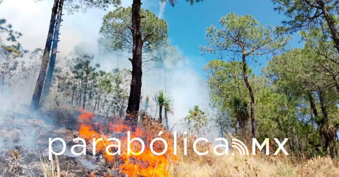 Pide ayuda Altazayanca para combatir incendio en colindancia con Puebla