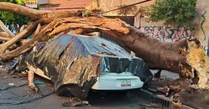 Contin&uacute;a la revisi&oacute;n en 16 alcald&iacute;as por sismo del 2 de enero: Brugada