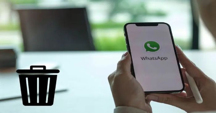 C&oacute;mo recuperar mensajes y archivos borrados en Android y iPhone