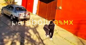 Captan cámaras de seguridad robo a farmacia en la colonia SNTE