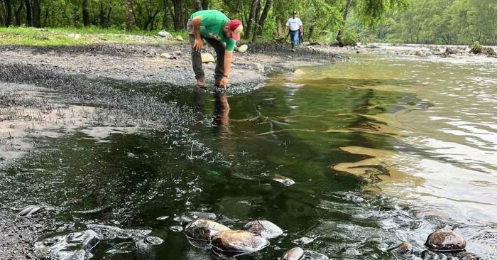 Deja daños ecológicos derrame de combustible en río San Marcos, Xicotepec