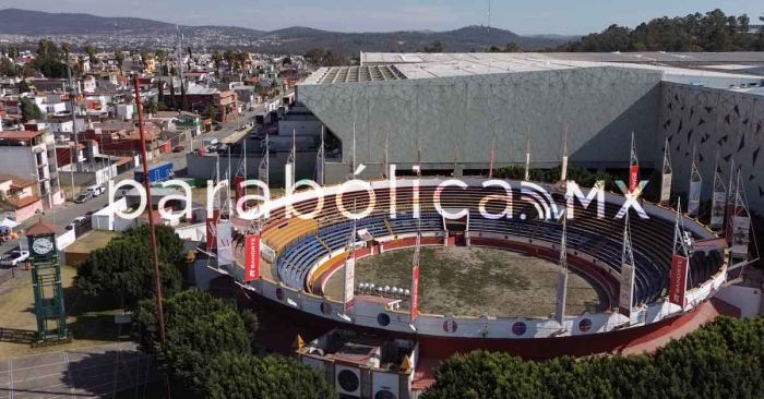 Buscaremos prohibir corridas de toros y peleas de gallos en Puebla: Lupita Vargas
