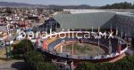 Buscaremos prohibir corridas de toros y peleas de gallos en Puebla: Lupita Vargas
