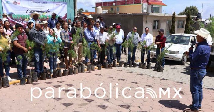 Inicia la primera Campaña de Reforestación Social en Xiutetelco