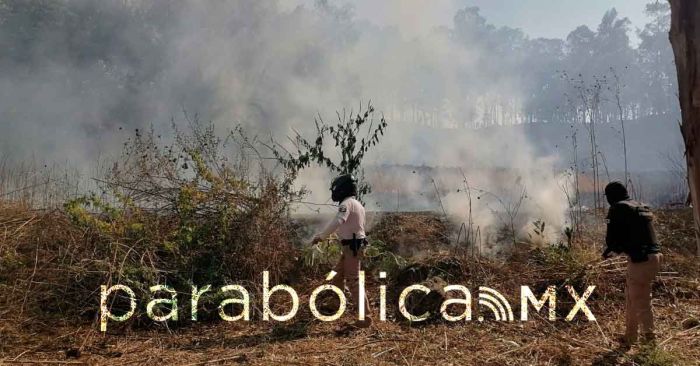 Refuerza Policía Montada vigilancia en el Cerro Zapotecas