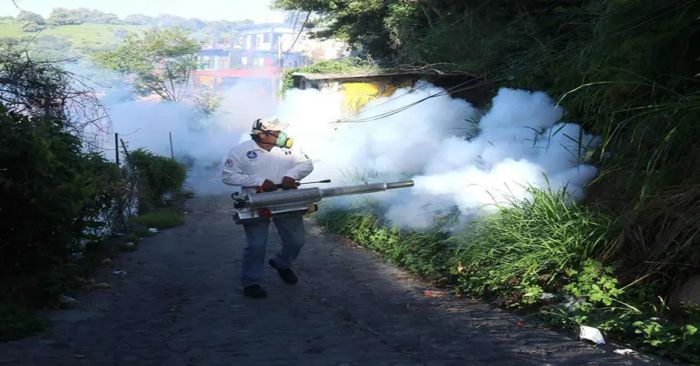Reportan en Nuevo León su primera víctima mortal por dengue