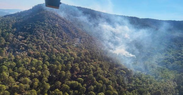 Controlan incendio en el Santuario de la Mariposa Monarca en Michoacán