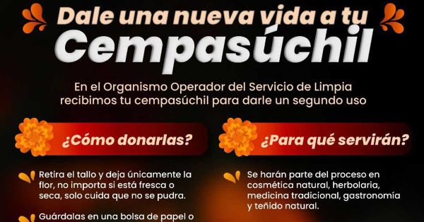 Abren centro de acopio para aprovechamiento de flor de cempas&uacute;chil