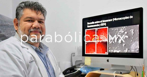 Desarrolla investigador BUAP biosensores para detectar bacterias patógenas y toxinas