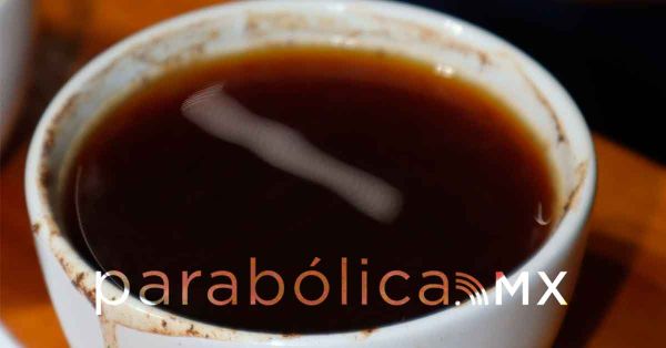 Acceden 30 cafés a la gran final del Concurso Calidad en Taza 2025: SADR