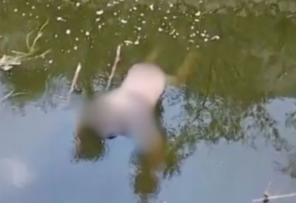 Localizan cadáver en canal de Valsequillo