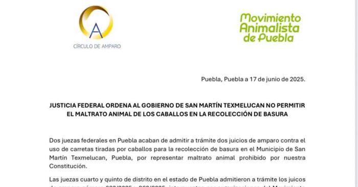 Ordenan prohibir caballos para recolección de basura en Texmelucan