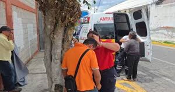 Atacan abejas a más de 20 personas en Atlixco