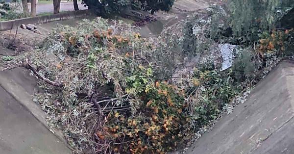 Atienden en San Pedro Cholula incidentes por lluvias