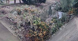 Atienden en San Pedro Cholula incidentes por lluvias