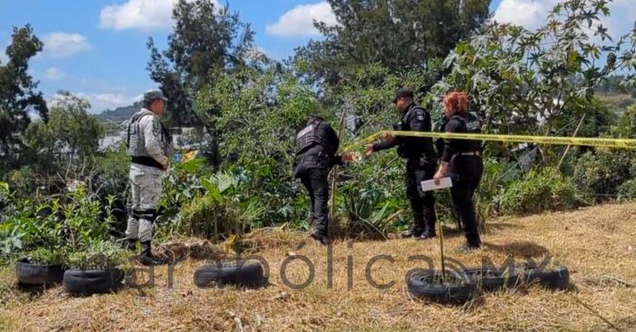 Encuentran cad&aacute;ver en colonia El Salvador