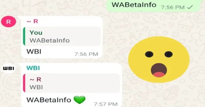 Conoce las nuevas funciones de WhatsApp