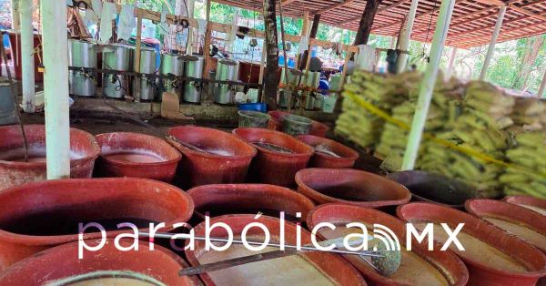 Confirma Harfuch el aseguramiento de 2.5 toneladas de metanfetaminas en Chiapas