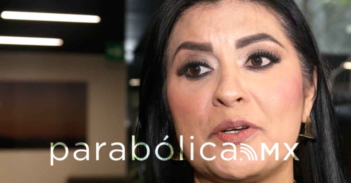 Nueva desbandada del PRI es un tema medi&aacute;tico, justifica Delfina Pozos