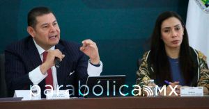 Se han atendido incendios forestales en 24 municipios: Medio Ambiente