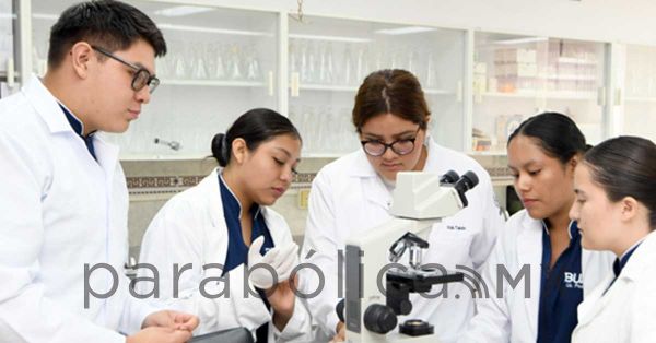 Tiene Facultad de Enfermería mayor número de SNII en la disciplina