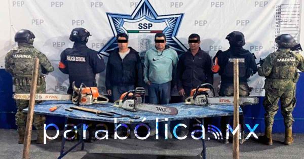 Capturan SSP y Marina a tres presuntos talamontes en Tetela de Ocampo