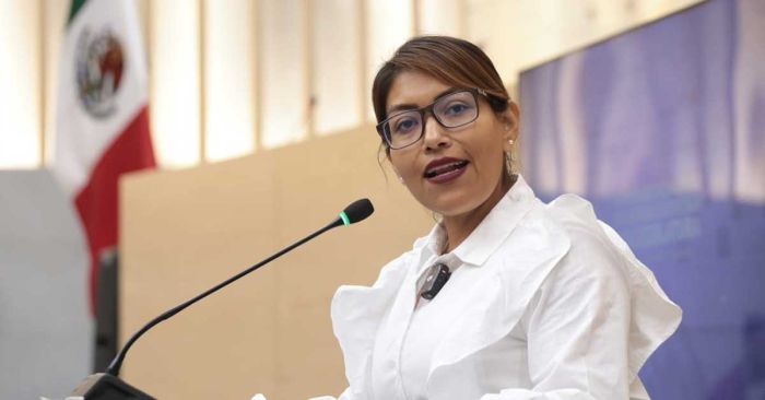 Impulsan en el Congreso exhorto para atender a animales en situaci&oacute;n de calle