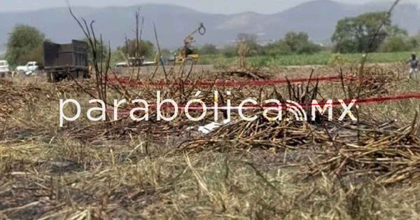 Hallan cuerpo calcinado dentro de los Cañaverales en Izúcar de Matamoros