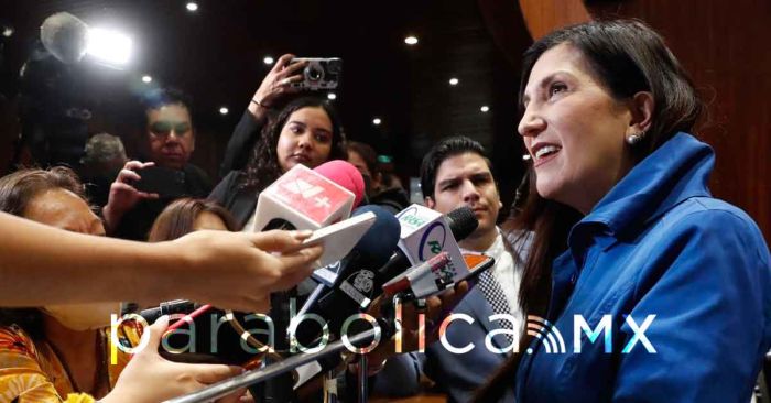 Propone Kenia López cero impuestos a alimentos y medicinas para mascotas