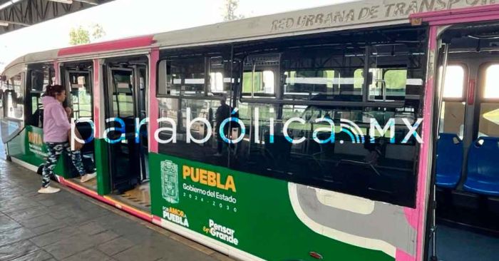 Atienden casi 500 casos de acoso en el sistema RUTA