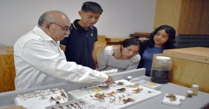 Posee ICUAP la colección de insectos más grande de Puebla