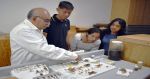 Posee ICUAP la colecci&oacute;n de insectos m&aacute;s grande de Puebla