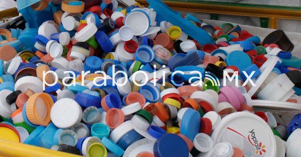 De residuos a riqueza: Bioeconom&iacute;a para transformar a M&eacute;xico