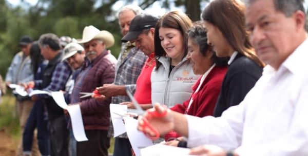 Impulsa Zacatlán la cosecha de agua con geomembranas