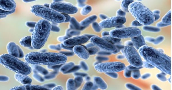 Repuntan casos de tosferina en M&eacute;xico