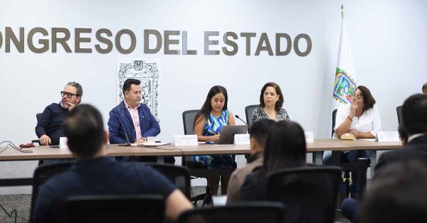 Presentan resultados de la encuesta dirigida a las ONGs