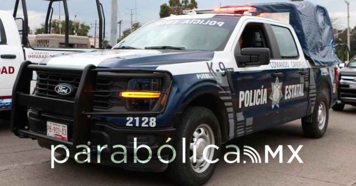 Colaboran autoridades de Puebla y Tlaxcala tras hallazgo de cuerpos Nopalucan