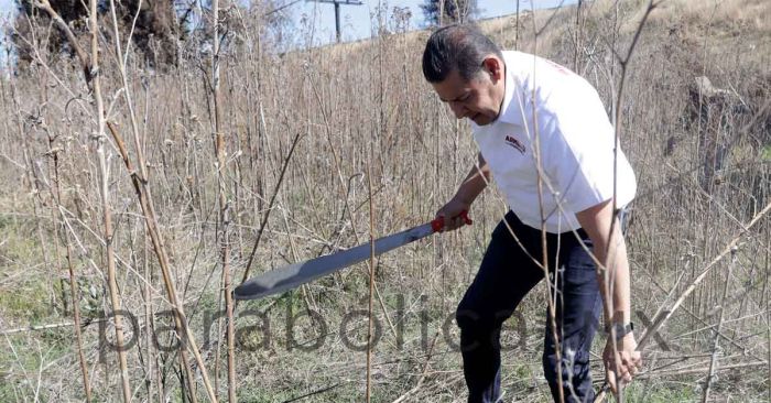 Encabeza Alejandro Armenta faena comunitaria en La Margarita