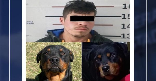 Detienen a Rafael por crueldad animal