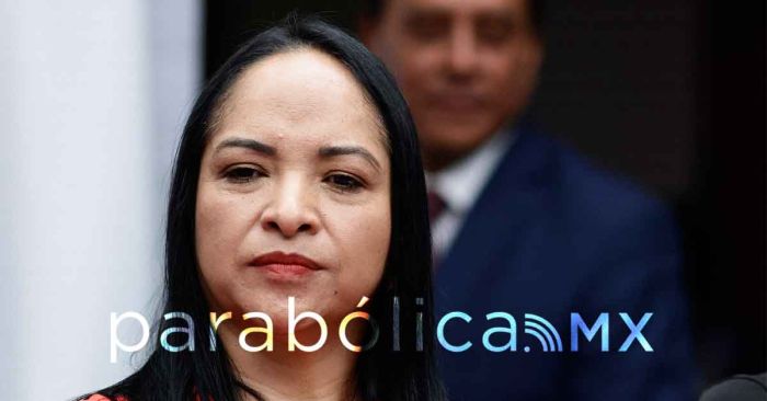 Buscará PT crecer sin arriesgar la gobernabilidad: Liz Sánchez