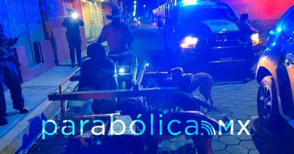 Resguarda IBA a siete caninos en San Pedro Cholula