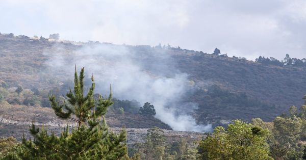 Reportan 73 incendios activos en 20 estados del país