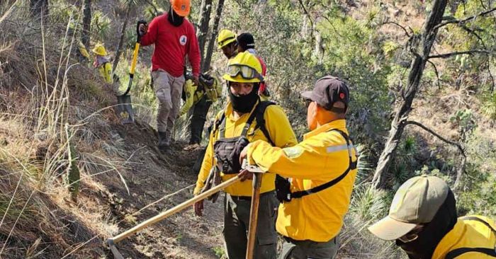 Mantienen coordinación para liquidación de incendios