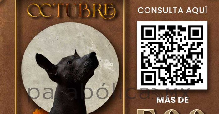 Presenta IMACP m&aacute;s de 500 actividades para octubre en la Agenda Cultural