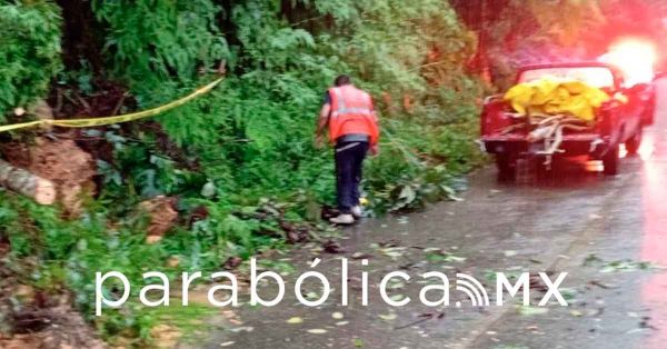 Suspende SEP clases también en la Sierra Negra