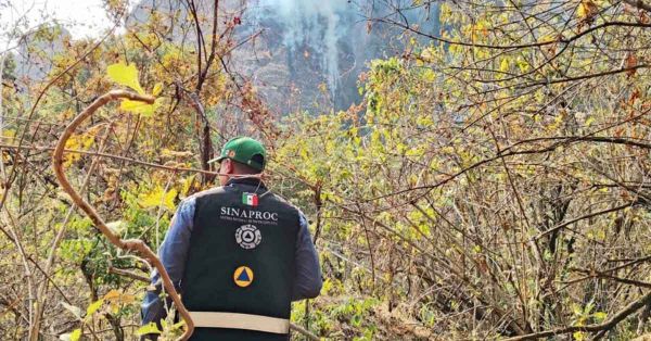 Hay 114 incendios forestales activos: CNPC